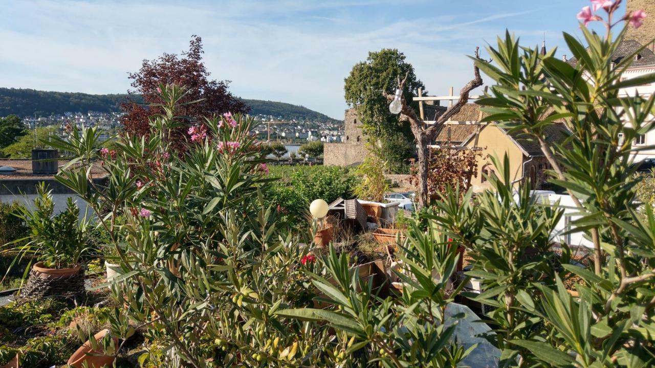 ArtStudio Rüdesheim Lejlighed Rüdesheim am Rhein Eksteriør billede