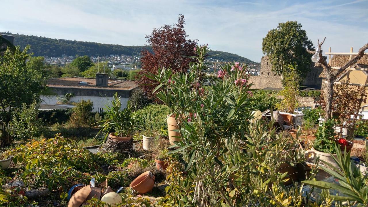 ArtStudio Rüdesheim Lejlighed Rüdesheim am Rhein Eksteriør billede